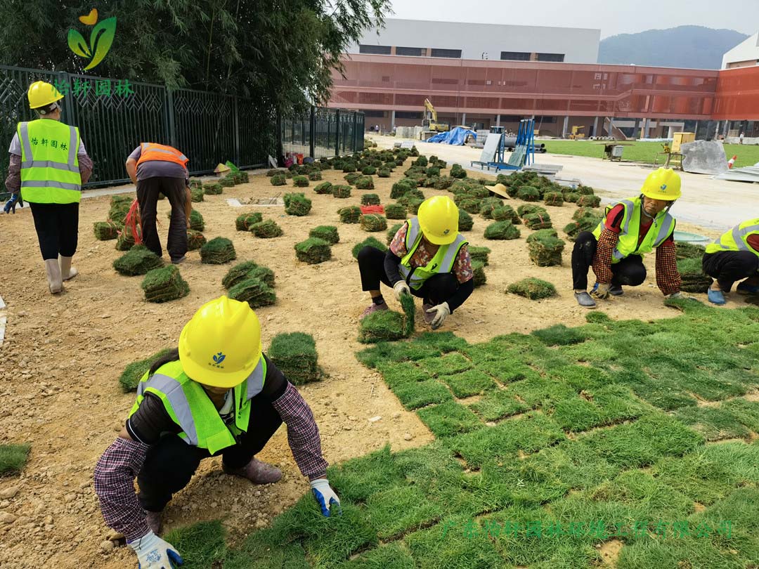 九游會J9園林綠化公司工人鋪草皮