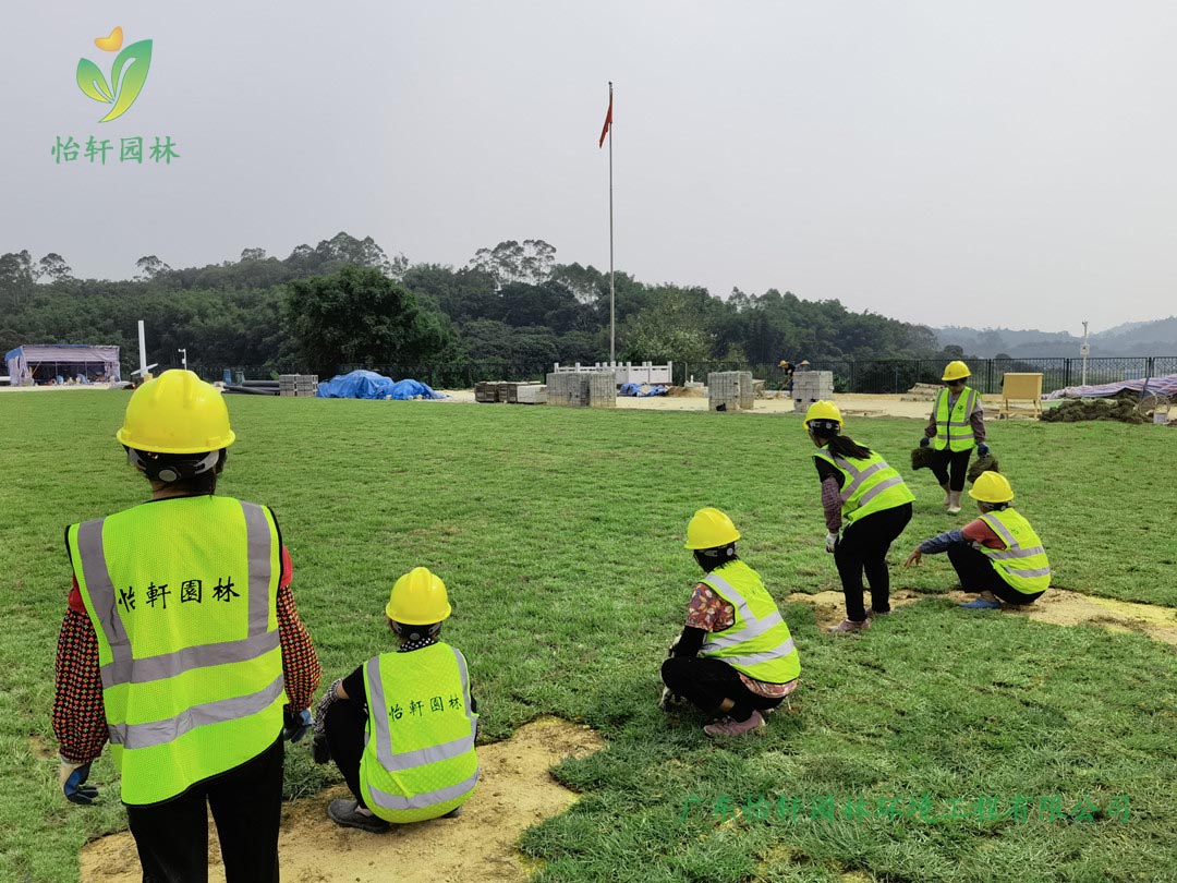 九游會J9園林綠化公司工人鋪草皮