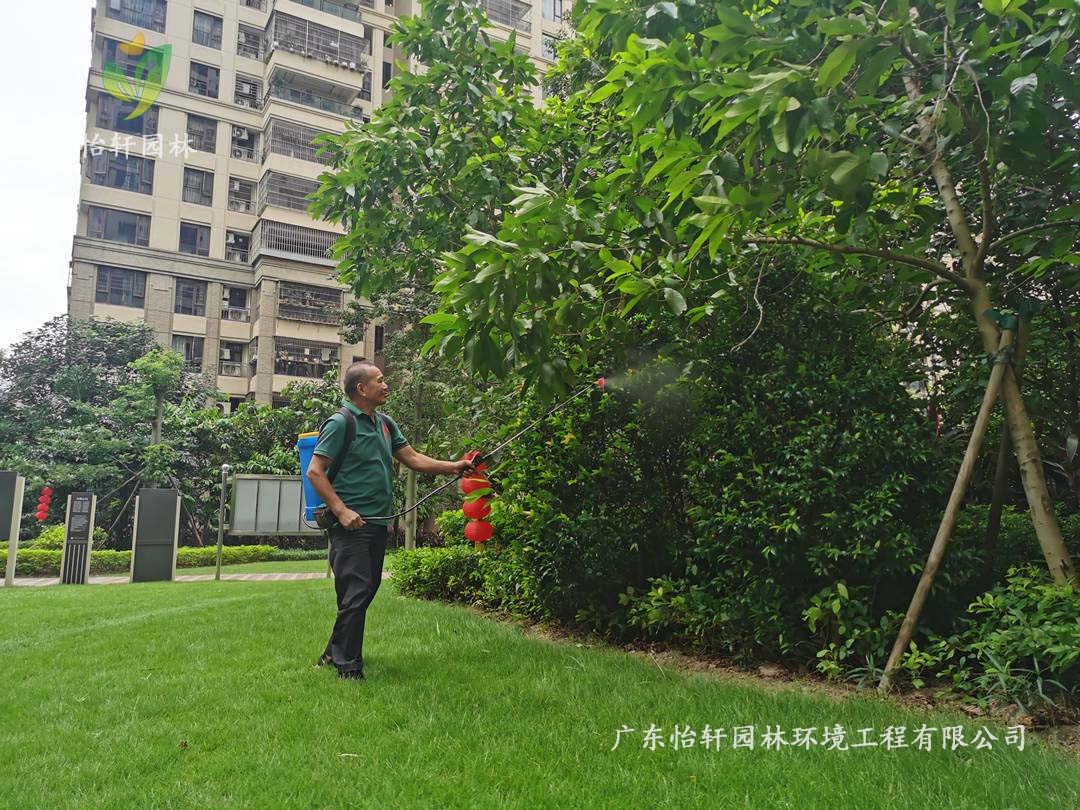 佛山保利中央公館小區(qū)綠化養(yǎng)護