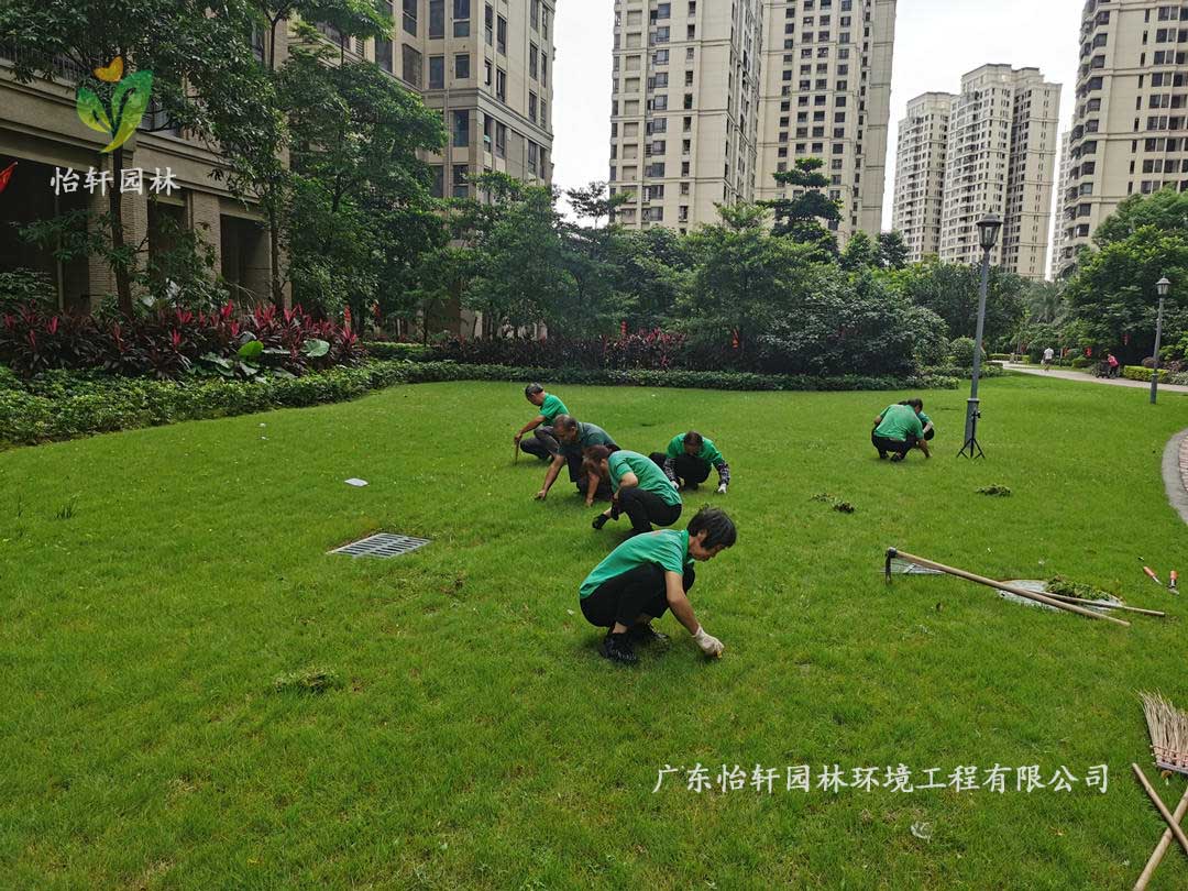 佛山保利中央公館小區(qū)綠化養(yǎng)護