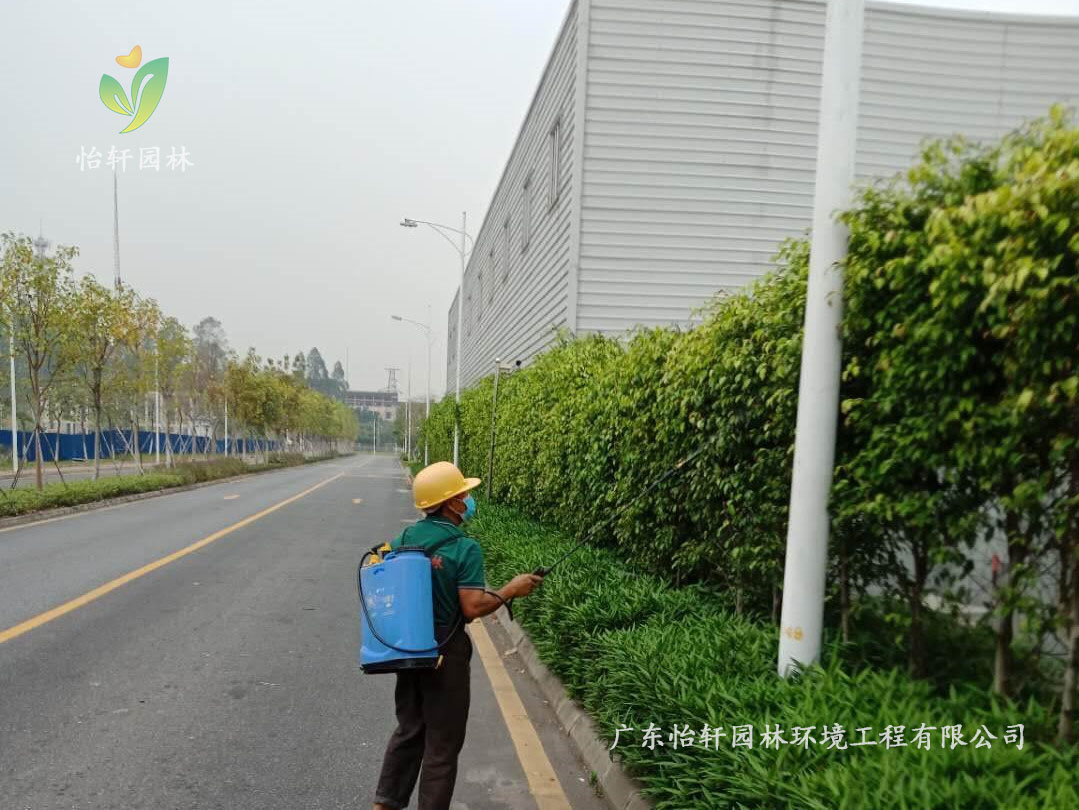 佛山瀚藍(lán)綠電固廢處理工廠綠化養(yǎng)護(hù)