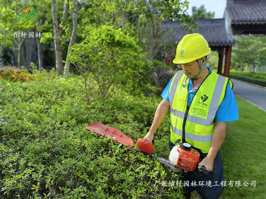 惠州綠色動力廠區(qū)日常養(yǎng)護工作