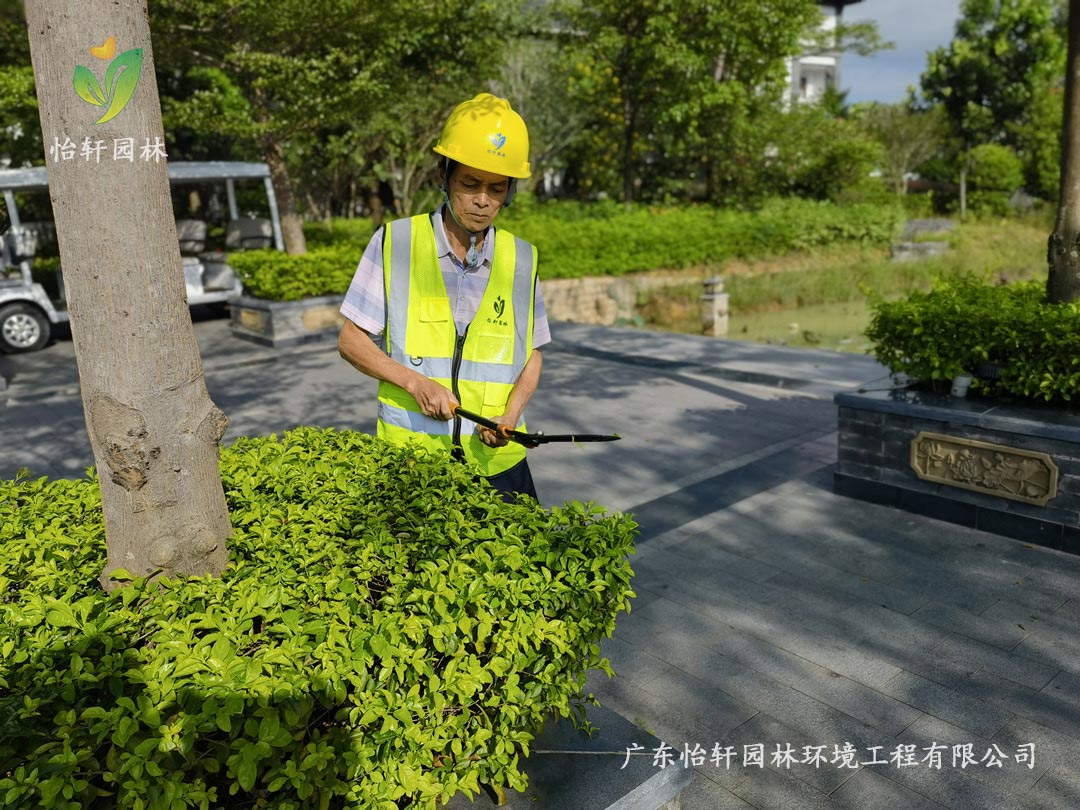 九游會J9園林綠化公司養(yǎng)護人員正在修剪