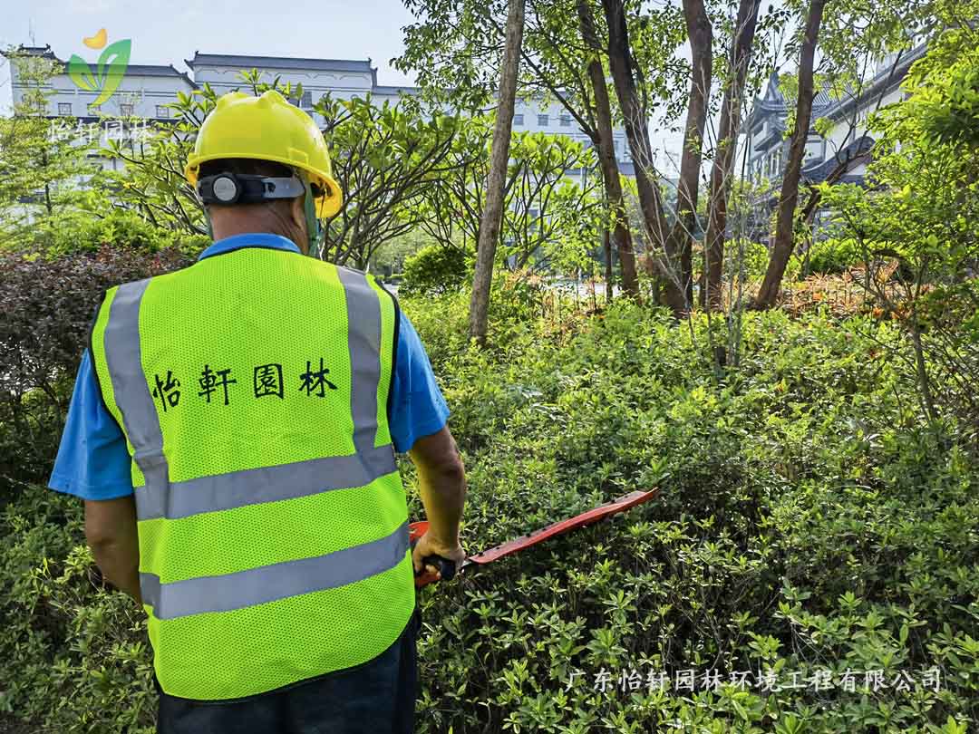 惠州綠色動力廠區(qū)日常養(yǎng)護工作
