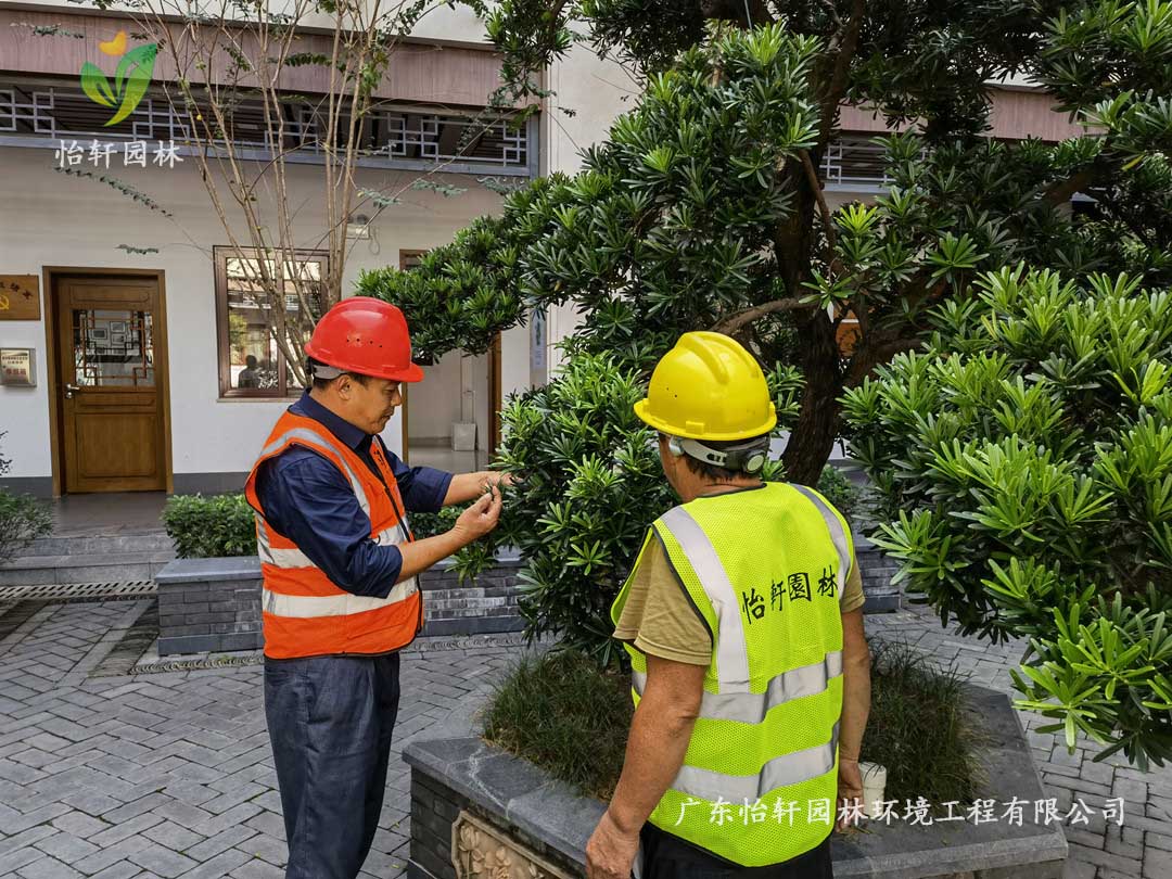 九游會J9園林綠化公司廠區(qū)綠化養(yǎng)護指導(dǎo)工作