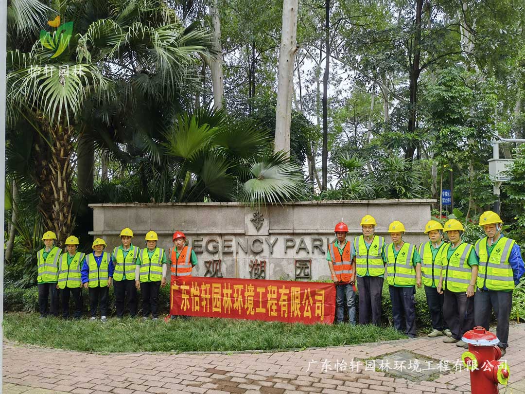 深圳龍華觀湖園別墅小區(qū)綠化養(yǎng)護(hù)