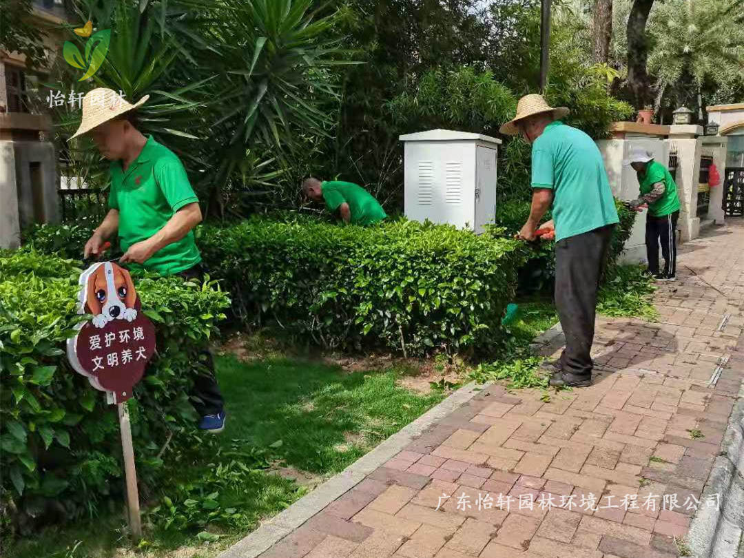 深圳龍華觀湖園別墅小區(qū)綠化養(yǎng)護(hù)