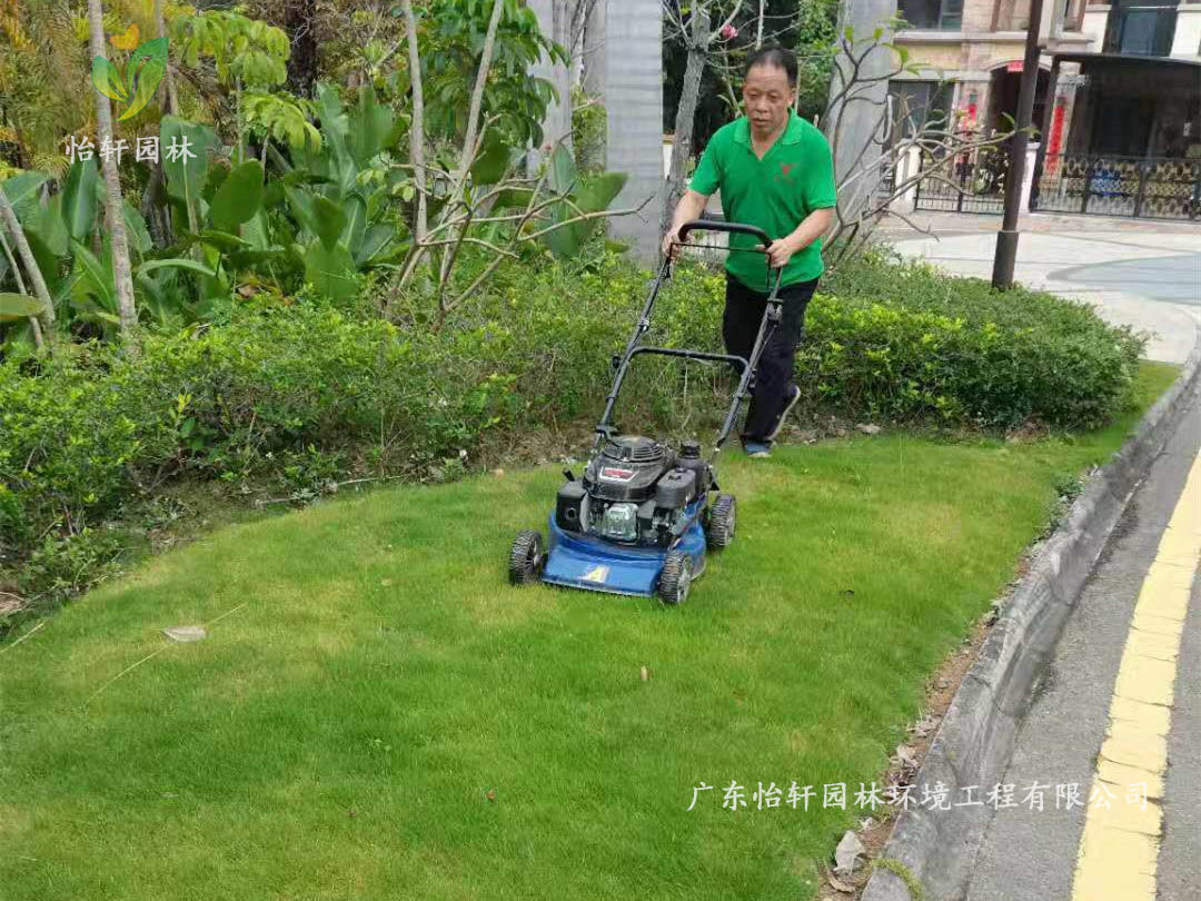 深圳龍華觀湖園別墅小區(qū)綠化養(yǎng)護(hù)