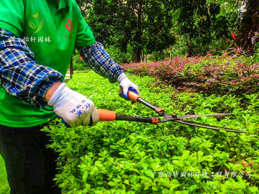 廣州御湖名邸小區(qū)綠化養(yǎng)護(hù)