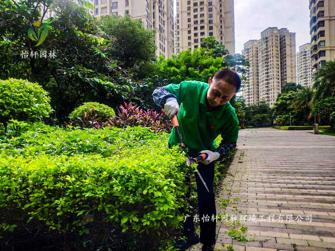 廣州御湖名邸小區(qū)綠化養(yǎng)護(hù)