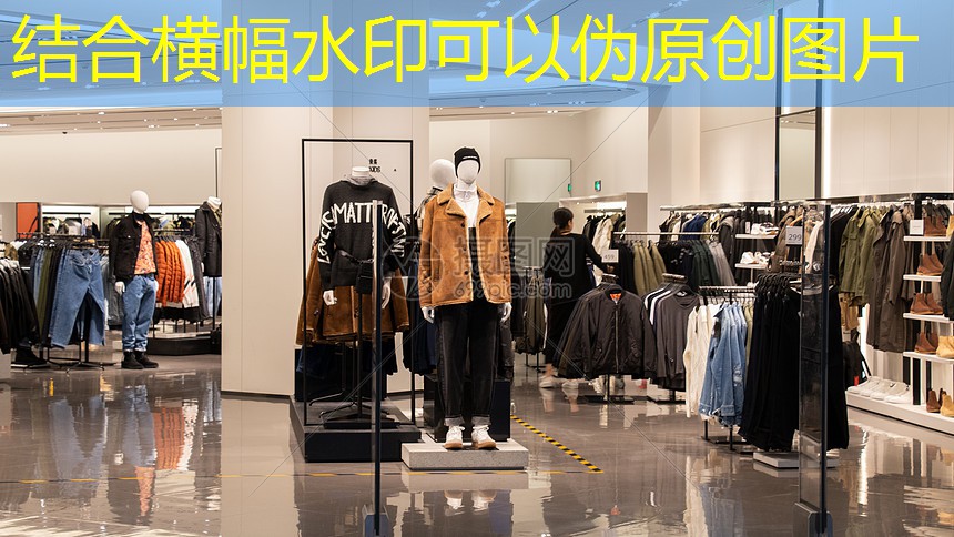 宿州綠化苗木基地在哪個城市 宿州綠化苗木基地在哪個城市