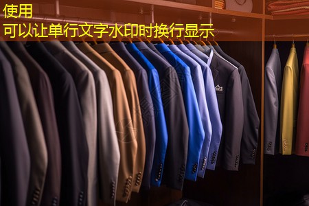 南匯城市里的綠化有哪些 南匯城市里的綠化有哪些