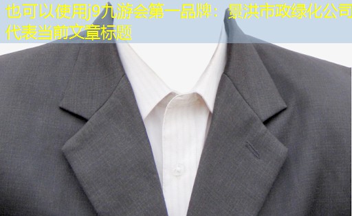 景洪市政綠化公司 景洪市政綠化公司