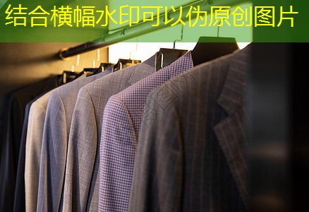 興化市政綠化公司 興化市政綠化公司