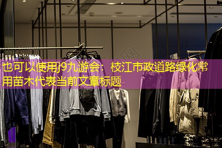 枝江市政道路綠化常用苗木 枝江市政道路綠化常用苗木